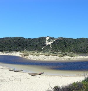 Global Eco Conference Heads to Margaret River in December 2020 – Sustainable Tourism News