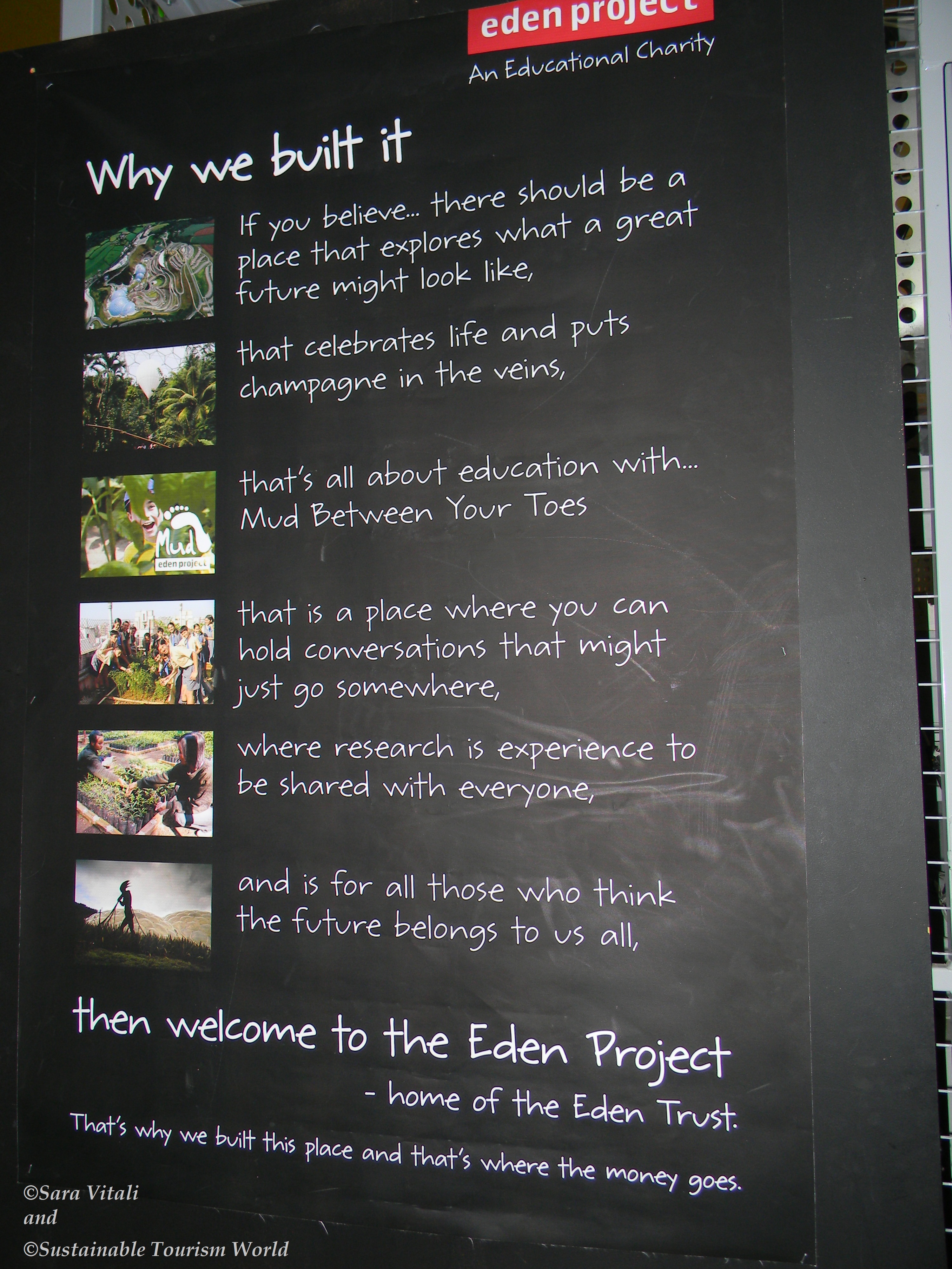 Eden project cornwall 12 (4)