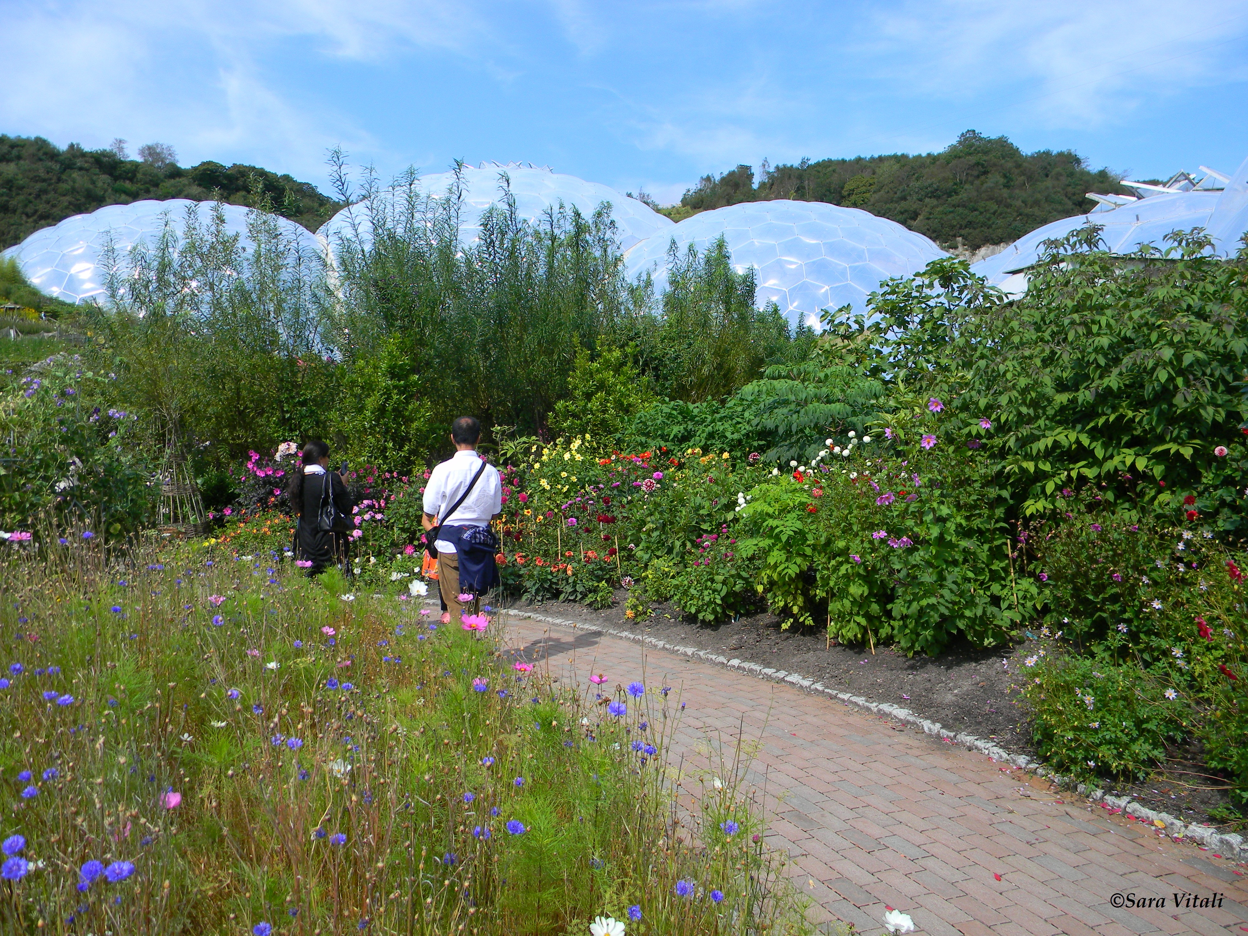 Eden project cornwall 12 (5)
