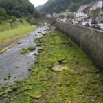 Lynton and Lynmouth - The Cliff Railway (7)