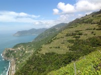 Cinque Terre Park - Capellini wineyard - sustainable tourism - the path