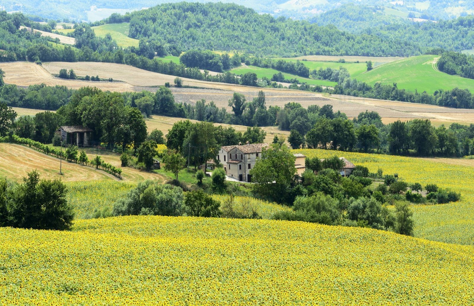 Rural village in the Marche Region