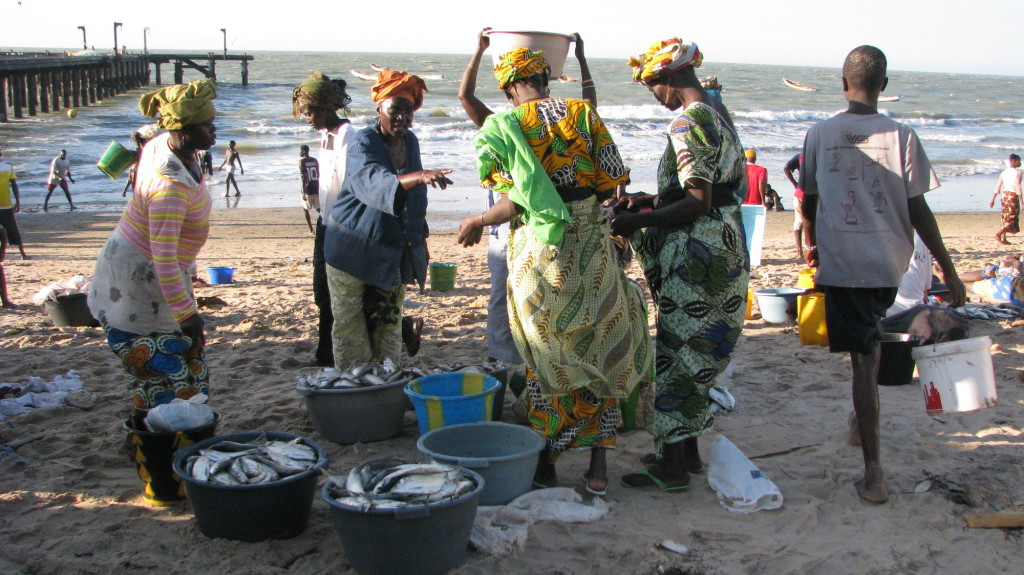sustainable-development-gambia-fishery-project