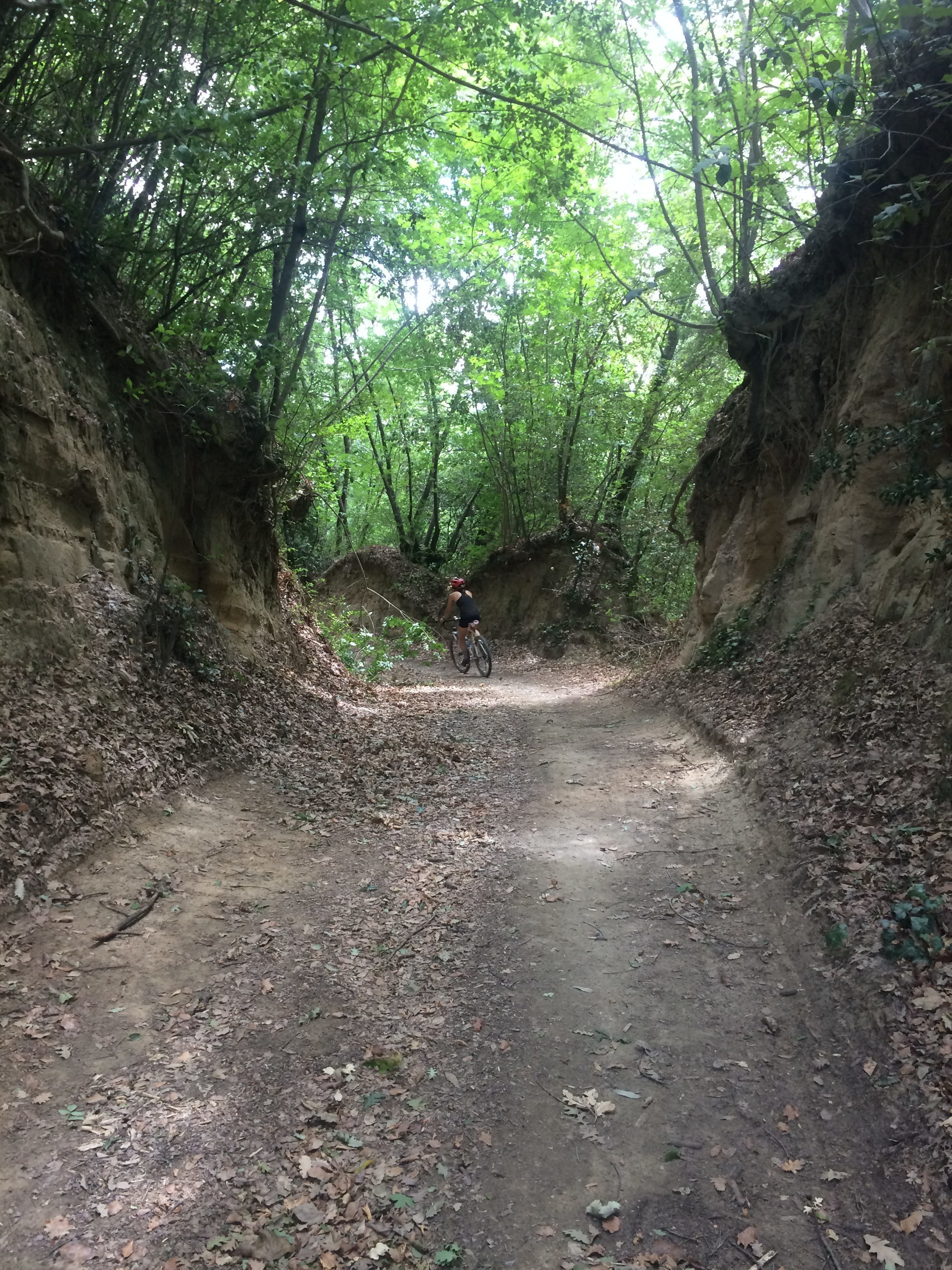 Bicycling on the Via Francigena - sustainable tourism in Tuscany