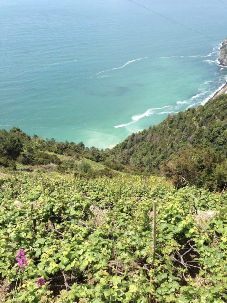 A day at Cinque Terre National Park - the landscape